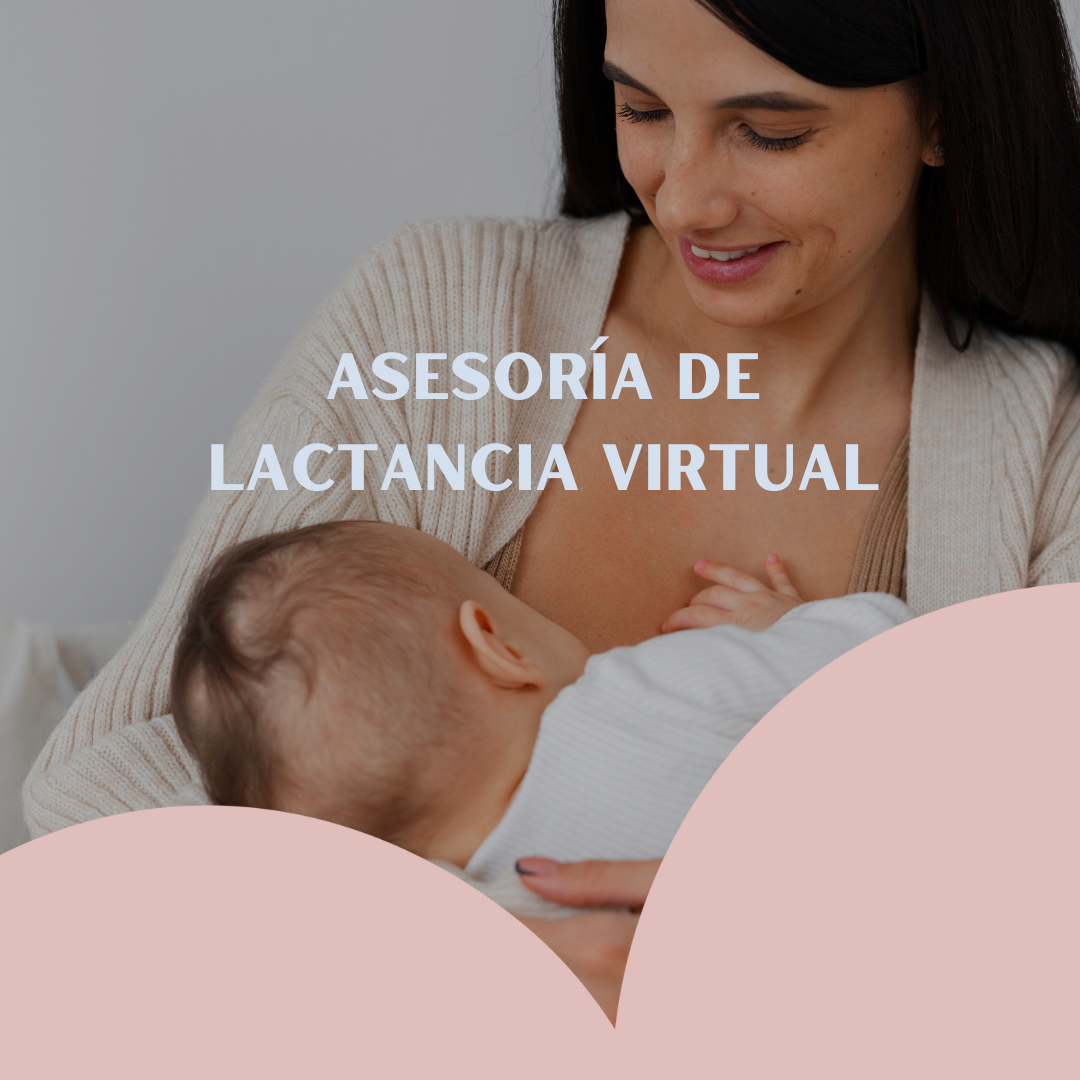 Asesoría Virtual