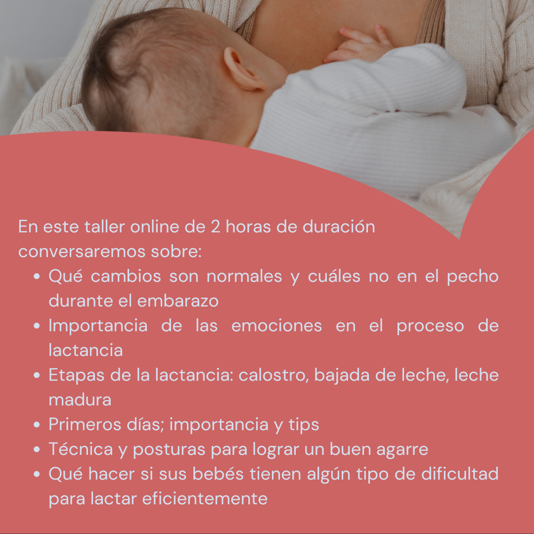 Taller de Lactancia para embarazadas